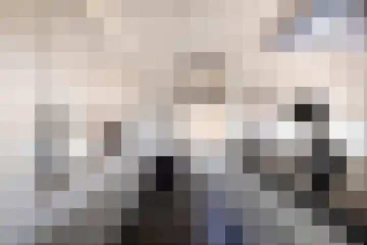 Noordercolonie 51 Nieuwe Pekela thumbnail 33