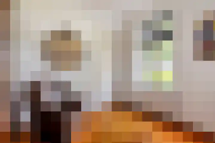 Noordercolonie 51 Nieuwe Pekela thumbnail 37