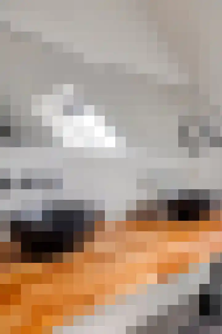 Noordercolonie 51 Nieuwe Pekela thumbnail 49