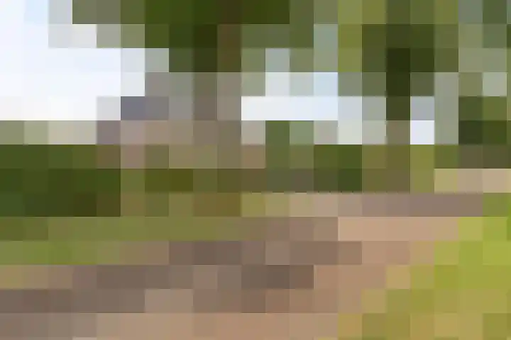 Noordercolonie 51 Nieuwe Pekela thumbnail 5