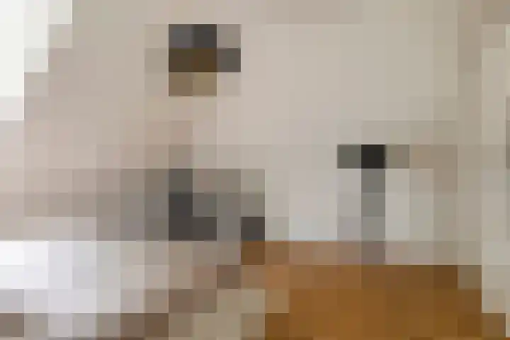 Noordercolonie 51 Nieuwe Pekela thumbnail 51