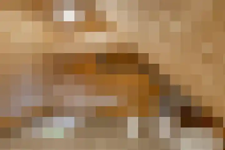 Noordercolonie 51 Nieuwe Pekela thumbnail 56