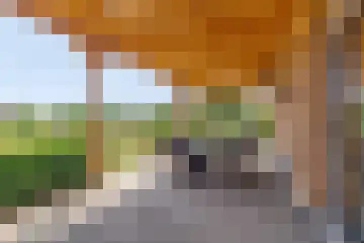 Noordercolonie 51 Nieuwe Pekela thumbnail 59