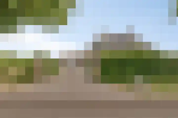 Noordercolonie 51 Nieuwe Pekela thumbnail 6