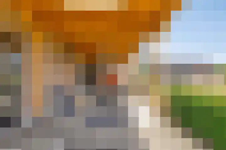 Noordercolonie 51 Nieuwe Pekela thumbnail 60