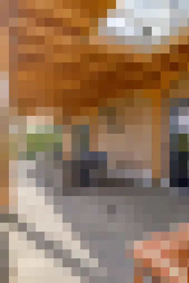 Noordercolonie 51 Nieuwe Pekela thumbnail 61