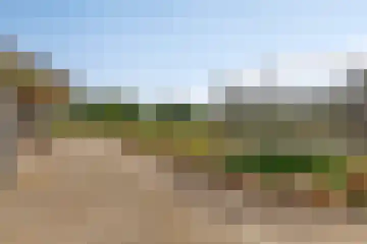 Noordercolonie 51 Nieuwe Pekela thumbnail 65