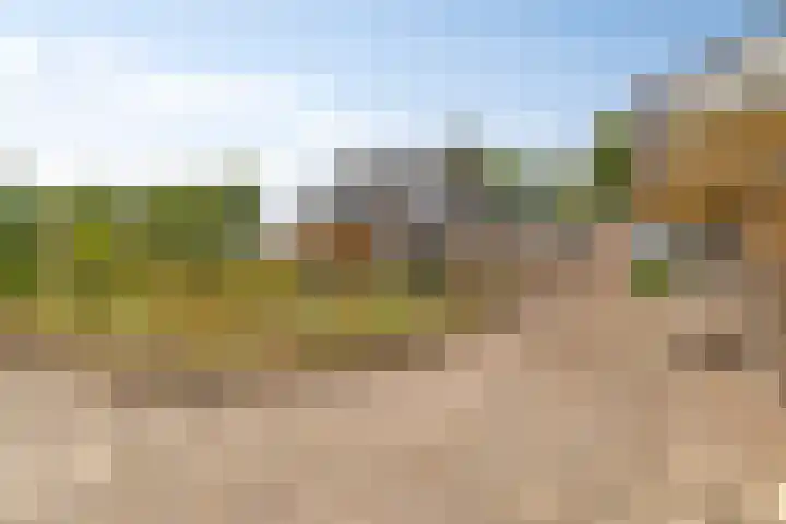 Noordercolonie 51 Nieuwe Pekela thumbnail 66