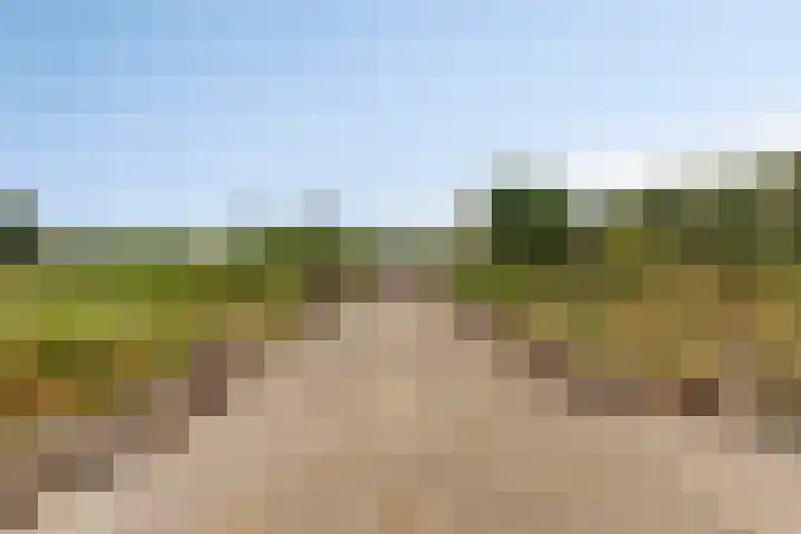 Noordercolonie 51 Nieuwe Pekela thumbnail 67