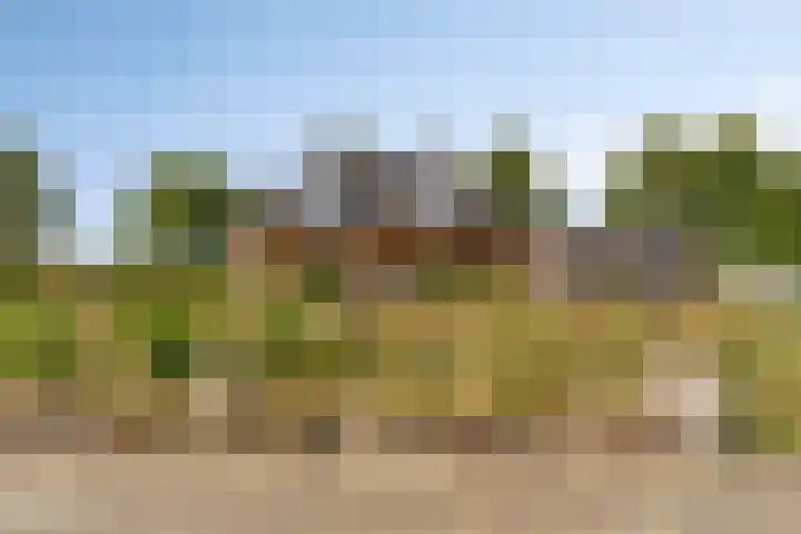 Noordercolonie 51 Nieuwe Pekela thumbnail 68