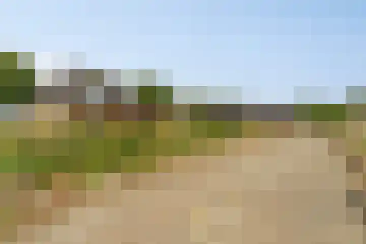 Noordercolonie 51 Nieuwe Pekela thumbnail 69