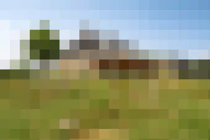 Noordercolonie 51 Nieuwe Pekela thumbnail 70