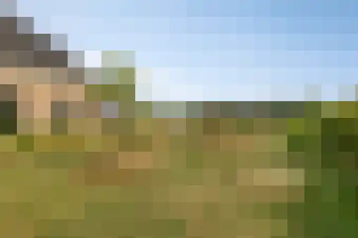Noordercolonie 51 Nieuwe Pekela thumbnail 71