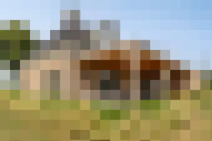 Noordercolonie 51 Nieuwe Pekela thumbnail 72