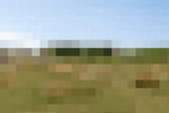 Noordercolonie 51 Nieuwe Pekela thumbnail 73