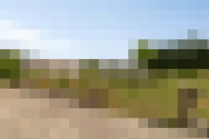 Noordercolonie 51 Nieuwe Pekela thumbnail 74