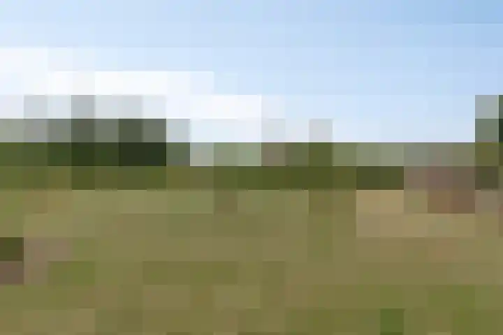 Noordercolonie 51 Nieuwe Pekela thumbnail 75