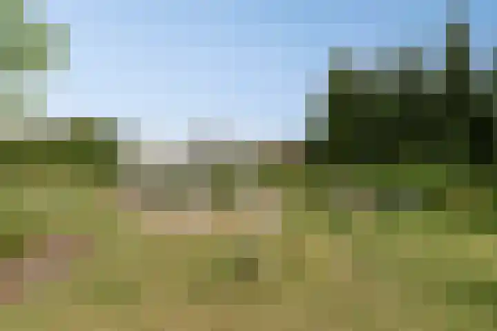 Noordercolonie 51 Nieuwe Pekela thumbnail 76