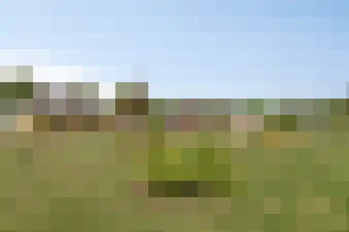 Noordercolonie 51 Nieuwe Pekela thumbnail 77