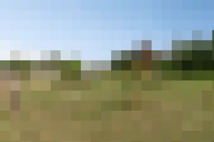 Noordercolonie 51 Nieuwe Pekela thumbnail 78