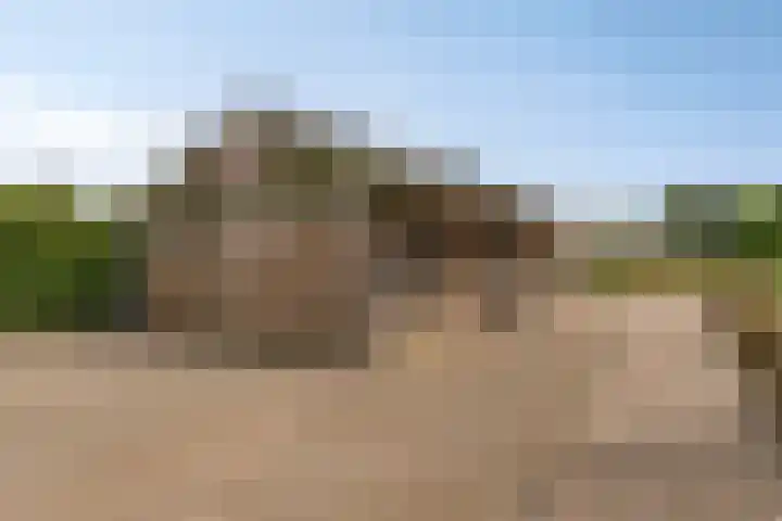 Noordercolonie 51 Nieuwe Pekela thumbnail 79