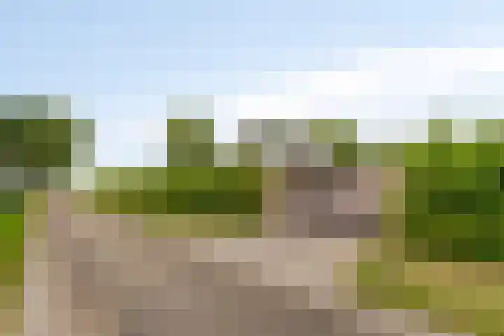 Noordercolonie 51 Nieuwe Pekela thumbnail 8