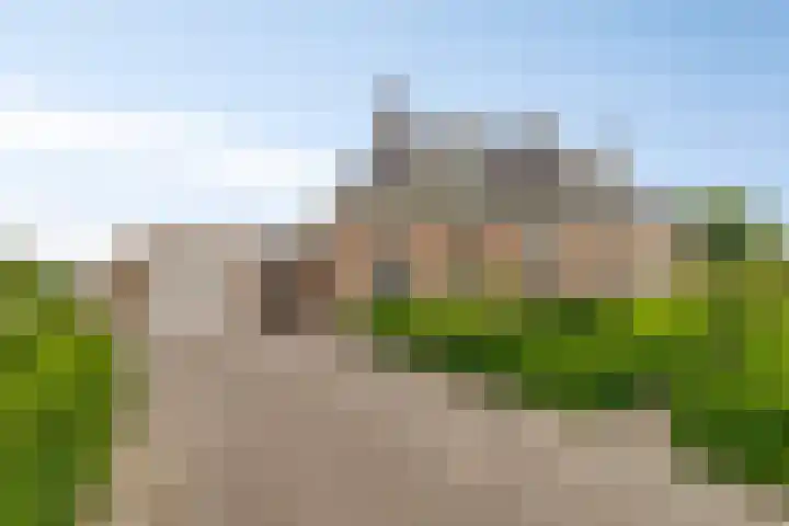 Noordercolonie 51 Nieuwe Pekela thumbnail 9