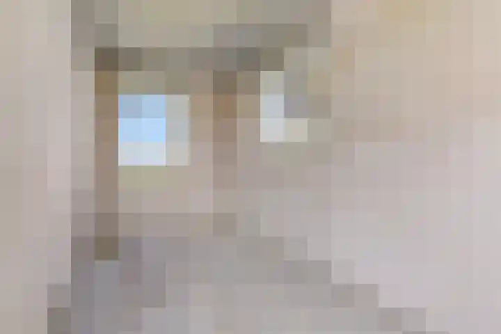 Noorderdiep 10 Valthermond thumbnail 12