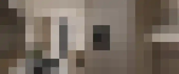 Noorderdiep 10 Valthermond thumbnail 14