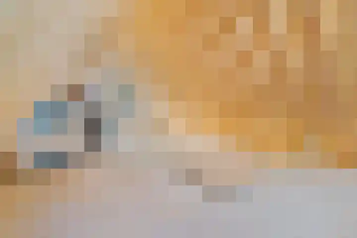 Noorderdiep 10 Valthermond thumbnail 17