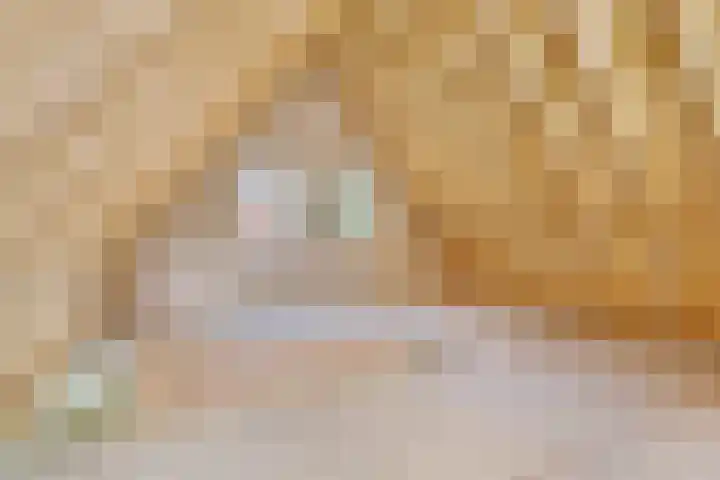 Noorderdiep 10 Valthermond thumbnail 19