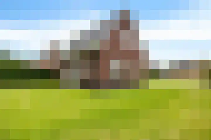 Noorderdiep 10 Valthermond thumbnail 22