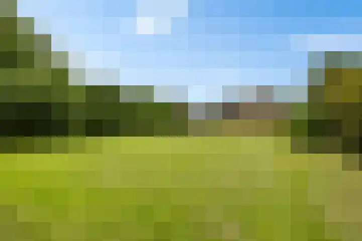 Noorderdiep 10 Valthermond thumbnail 23