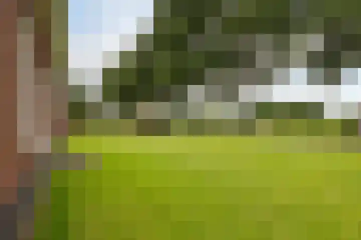 Noorderdiep 10 Valthermond thumbnail 26