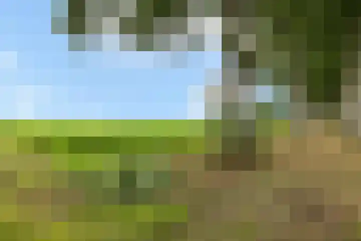 Noorderdiep 10 Valthermond thumbnail 28