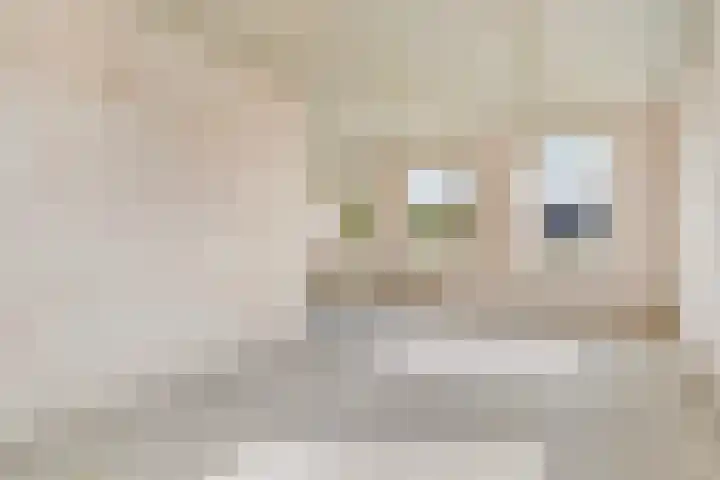 Noorderdiep 10 Valthermond thumbnail 7