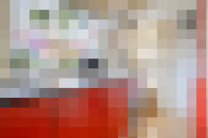 Noorderdiep 12 Stadskanaal thumbnail 11