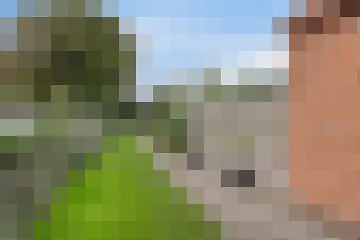 Noorderdiep 12 Stadskanaal thumbnail 26