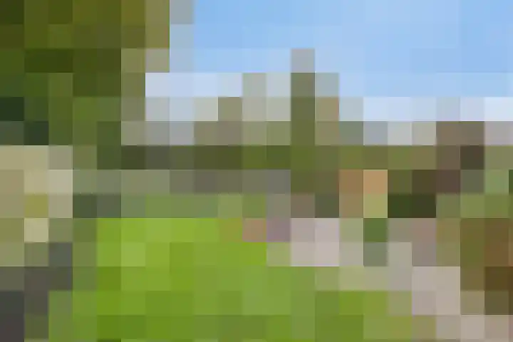Noorderdiep 12 Stadskanaal thumbnail 30