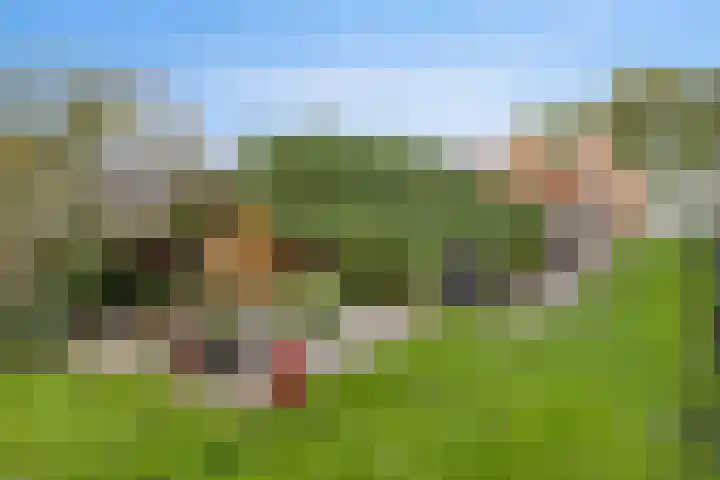 Noorderdiep 12 Stadskanaal thumbnail 31