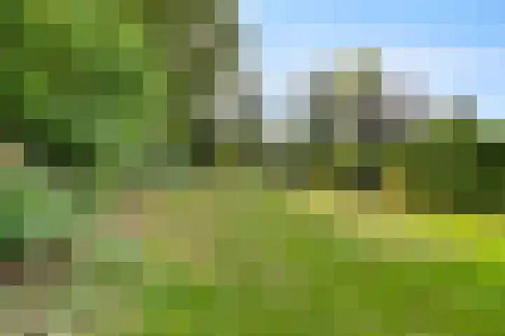 Noorderdiep 12 Stadskanaal thumbnail 32