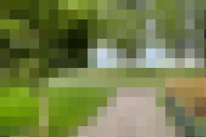 Noorderdiep 12 Stadskanaal thumbnail 33