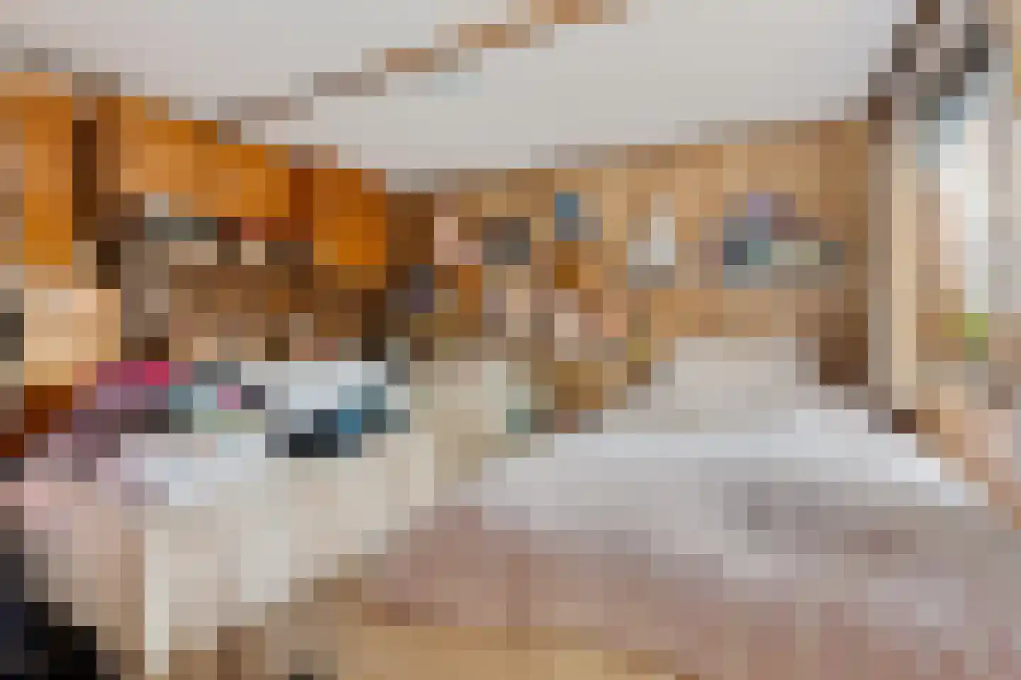Noorderdiep 121 Valthermond thumbnail 25