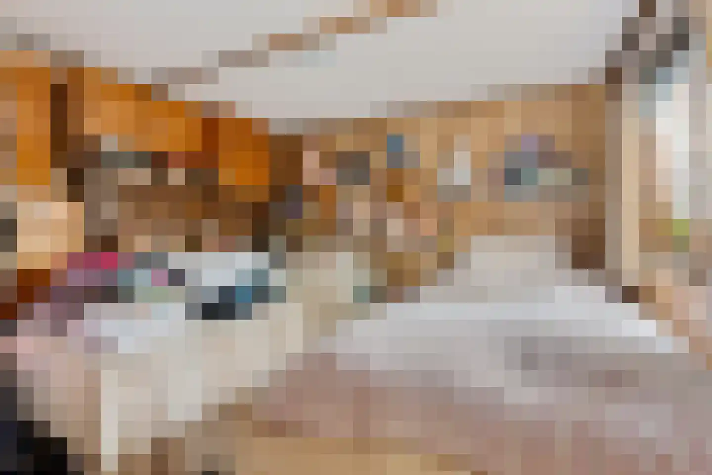 Noorderdiep 121 Valthermond thumbnail 25