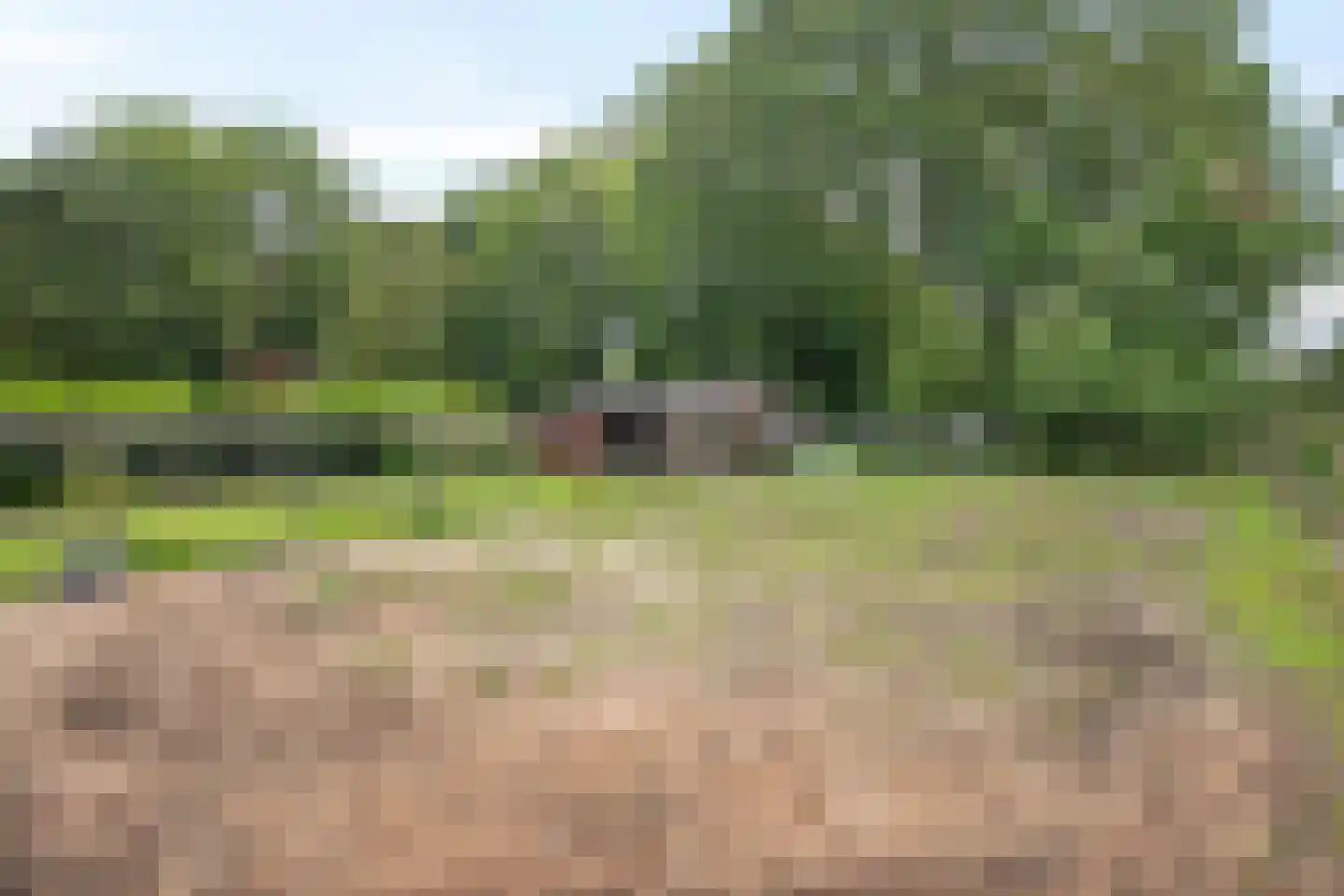Noorderdiep 121 Valthermond thumbnail 26