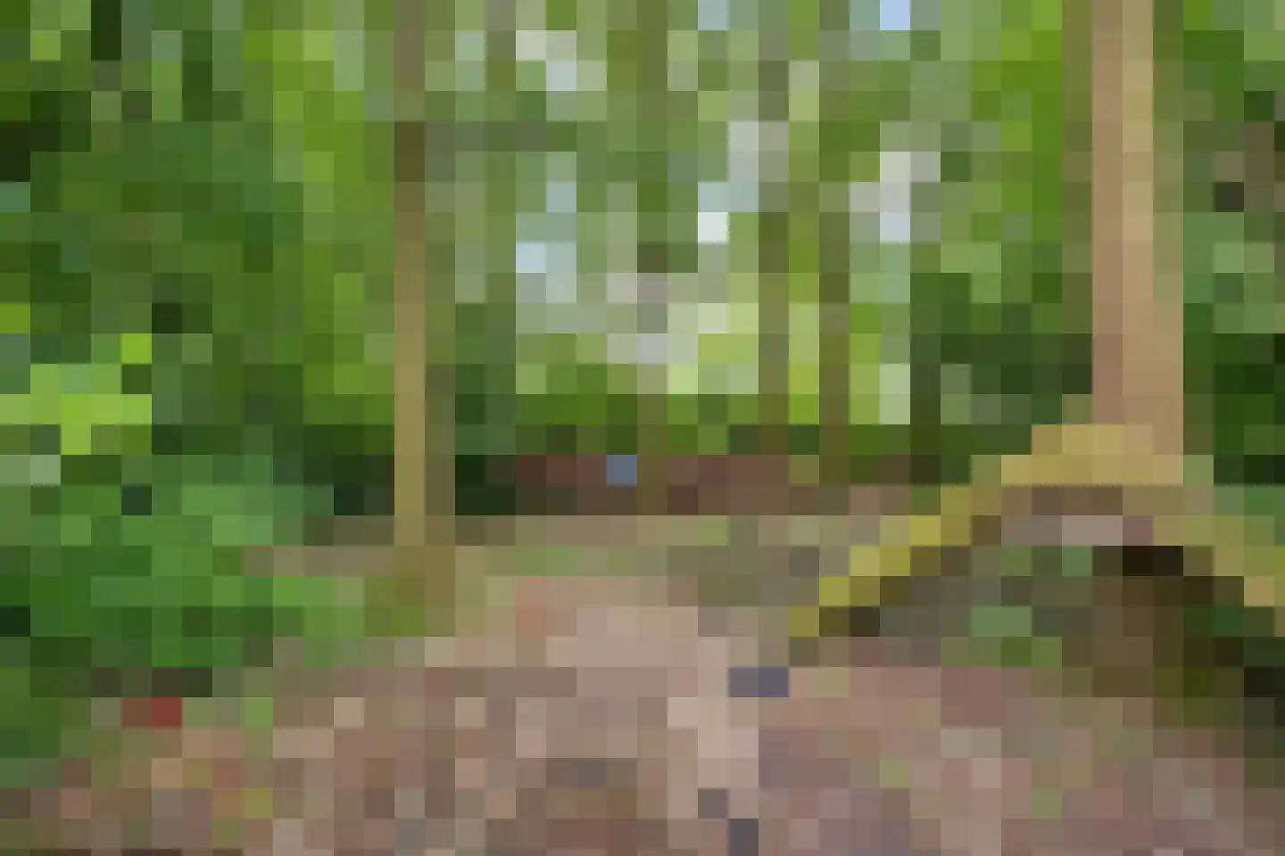 Noorderdiep 121 Valthermond thumbnail 29