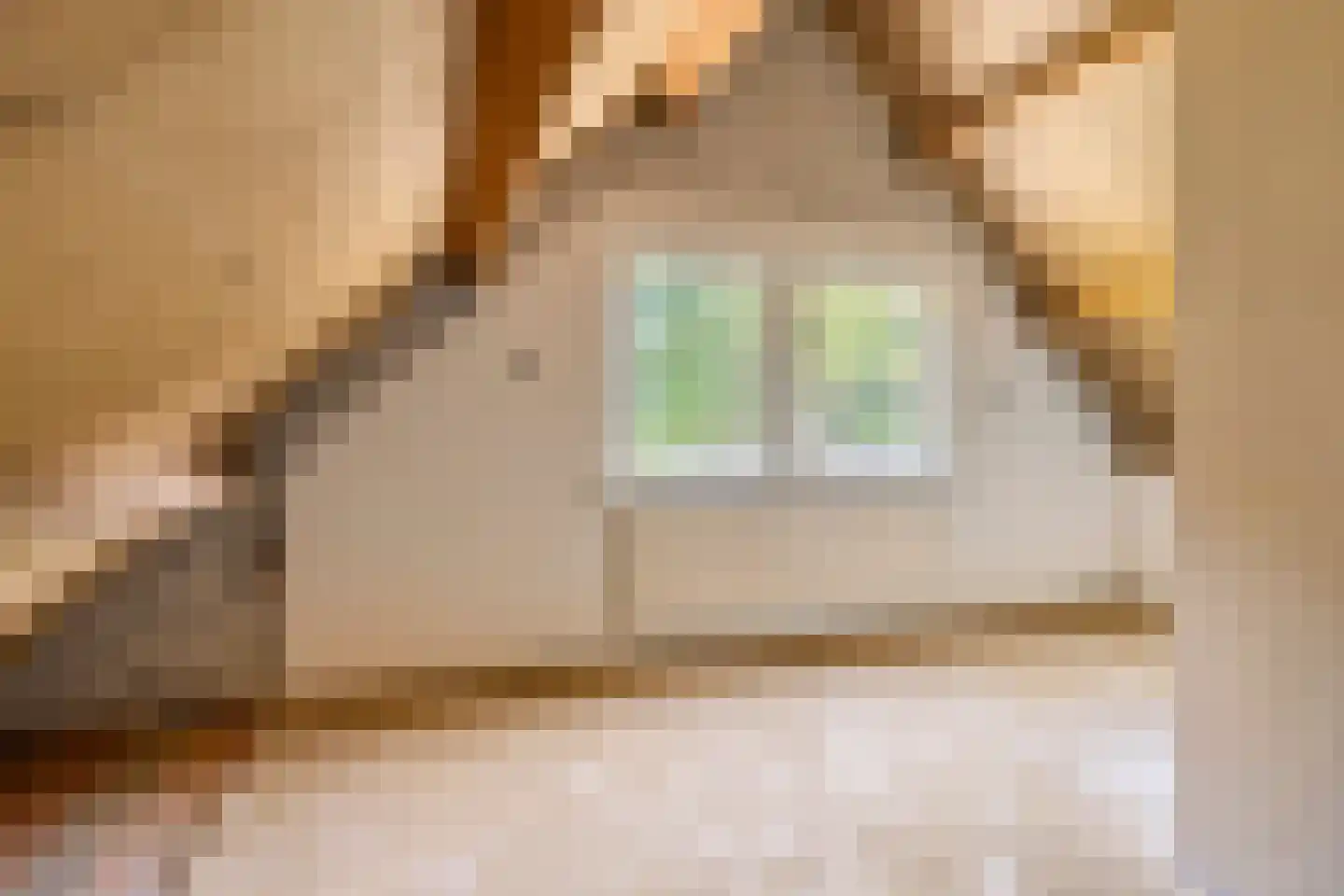 Noorderdiep 132 Nieuw-Buinen thumbnail 27