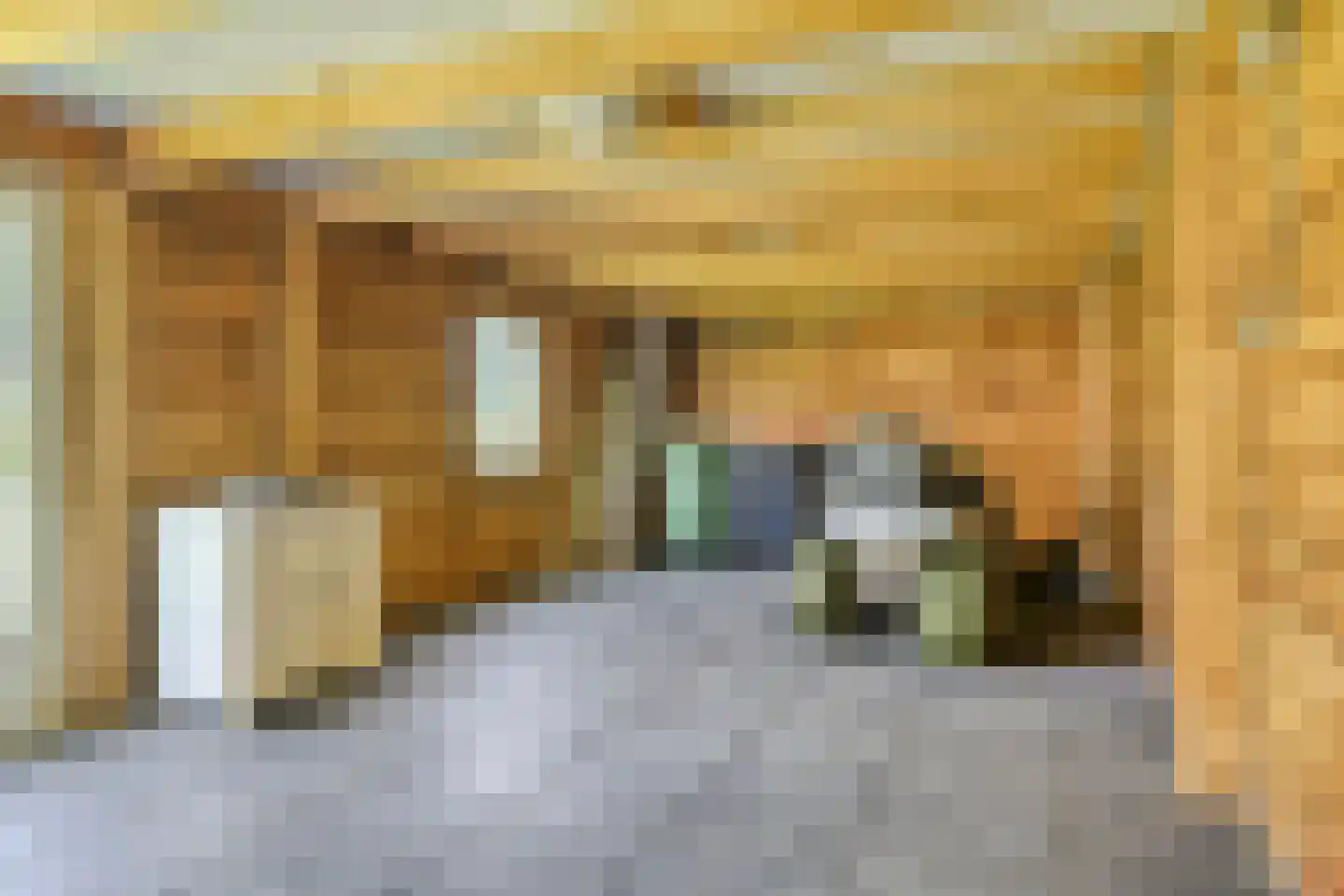 Noorderdiep 132 Nieuw-Buinen thumbnail 33