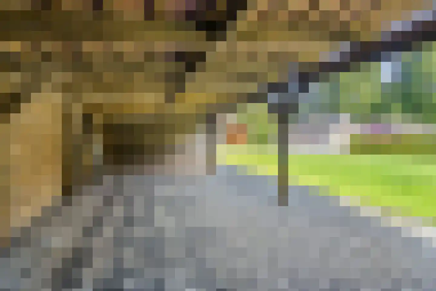 Noorderdiep 132 Nieuw-Buinen thumbnail 36