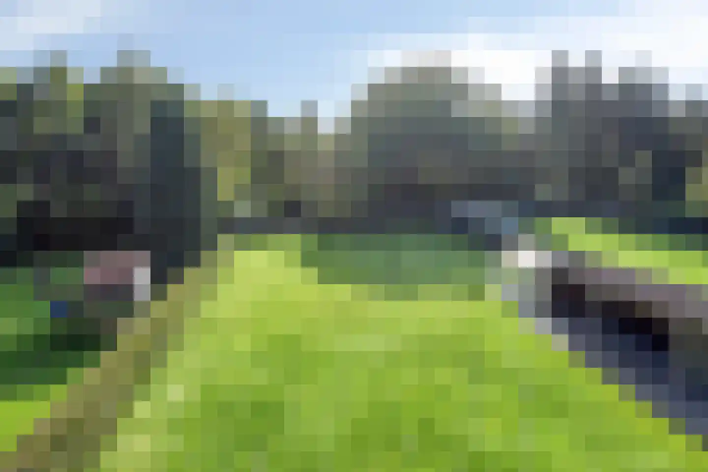 Noorderdiep 132 Nieuw-Buinen thumbnail 43